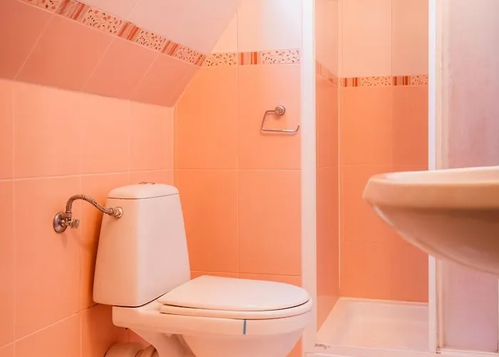 Dw Elzbieta - Gæstehus Poronin